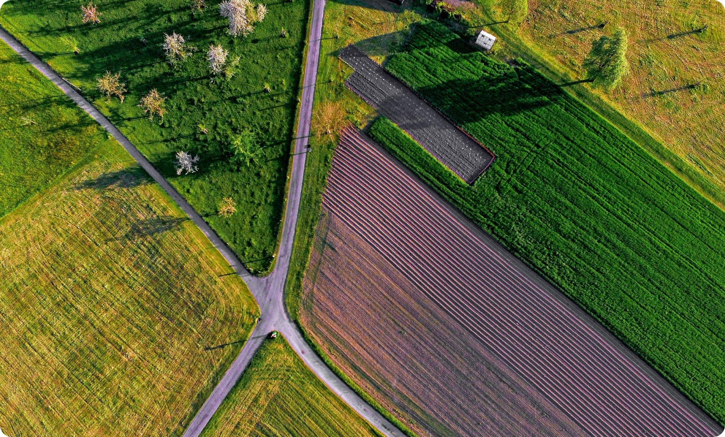 Establish & Promote environmental
management master plan